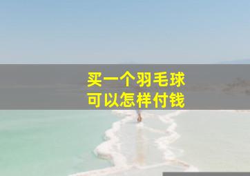 买一个羽毛球可以怎样付钱