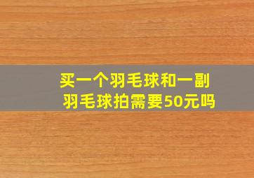 买一个羽毛球和一副羽毛球拍需要50元吗