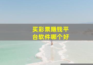 买彩票赚钱平台软件哪个好