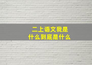 二上语文我是什么到底是什么