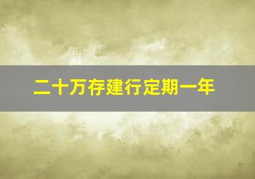 二十万存建行定期一年