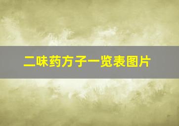 二味药方子一览表图片