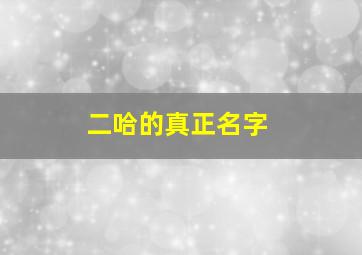 二哈的真正名字