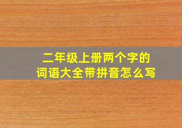 二年级上册两个字的词语大全带拼音怎么写