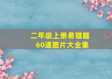 二年级上册易错题60道图片大全集