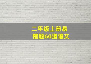 二年级上册易错题60道语文