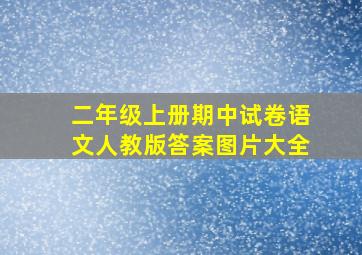 二年级上册期中试卷语文人教版答案图片大全