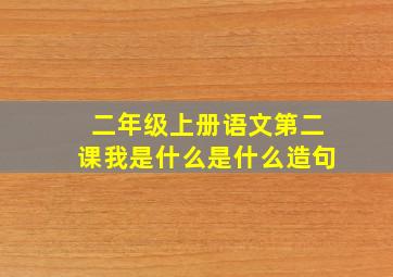 二年级上册语文第二课我是什么是什么造句