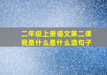 二年级上册语文第二课我是什么是什么造句子