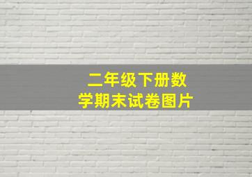 二年级下册数学期末试卷图片