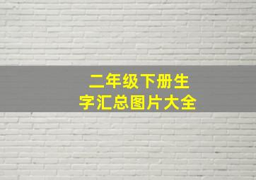 二年级下册生字汇总图片大全