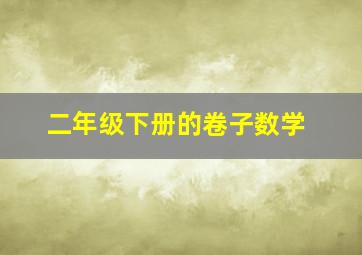 二年级下册的卷子数学