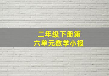 二年级下册第六单元数学小报