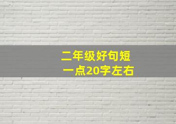 二年级好句短一点20字左右