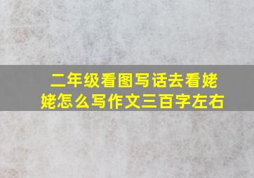 二年级看图写话去看姥姥怎么写作文三百字左右