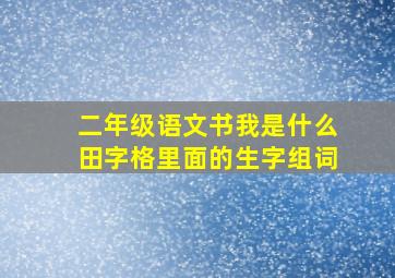 二年级语文书我是什么田字格里面的生字组词