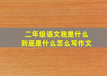 二年级语文我是什么到底是什么怎么写作文