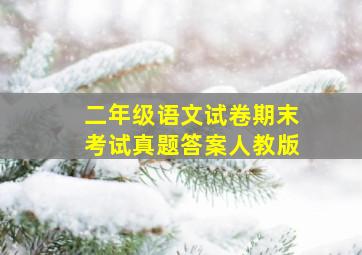 二年级语文试卷期末考试真题答案人教版