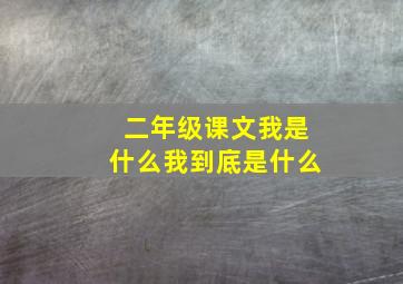 二年级课文我是什么我到底是什么