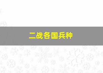 二战各国兵种