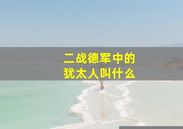 二战德军中的犹太人叫什么