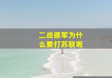 二战德军为什么要打苏联呢