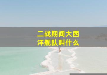 二战期间大西洋舰队叫什么