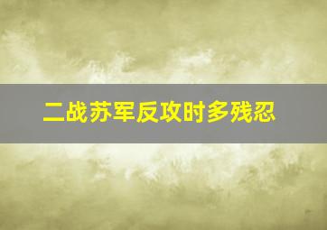 二战苏军反攻时多残忍