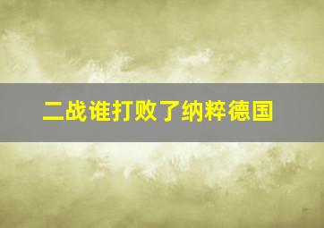 二战谁打败了纳粹德国