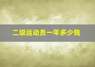 二级运动员一年多少钱