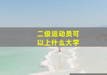 二级运动员可以上什么大学