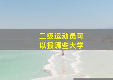 二级运动员可以报哪些大学