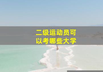 二级运动员可以考哪些大学