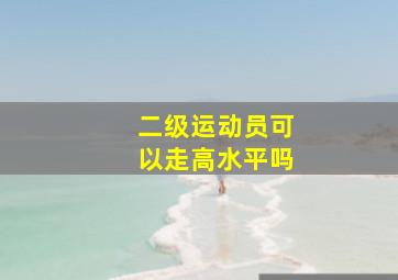 二级运动员可以走高水平吗