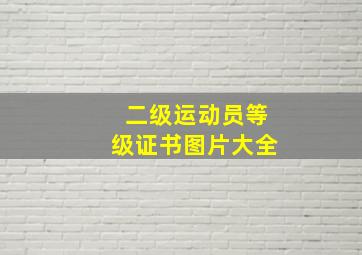 二级运动员等级证书图片大全