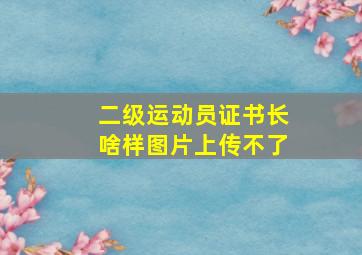 二级运动员证书长啥样图片上传不了