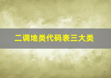 二调地类代码表三大类