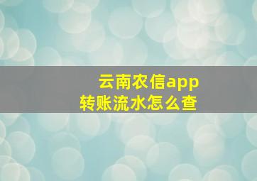 云南农信app转账流水怎么查