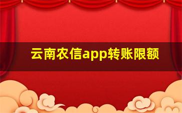 云南农信app转账限额