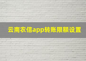 云南农信app转账限额设置