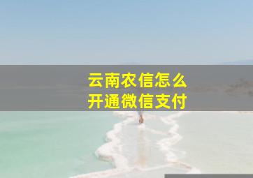 云南农信怎么开通微信支付