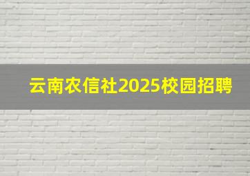 云南农信社2025校园招聘