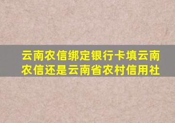 云南农信绑定银行卡填云南农信还是云南省农村信用社