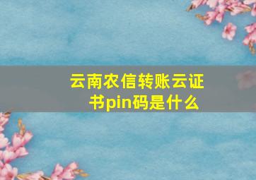 云南农信转账云证书pin码是什么