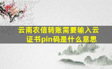 云南农信转账需要输入云证书pin码是什么意思