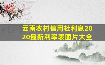 云南农村信用社利息2020最新利率表图片大全