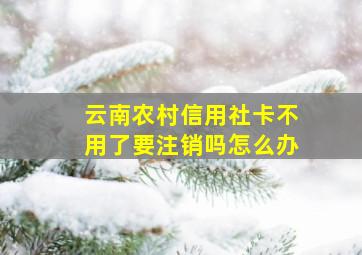 云南农村信用社卡不用了要注销吗怎么办