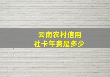 云南农村信用社卡年费是多少