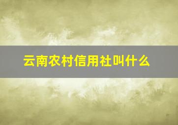 云南农村信用社叫什么