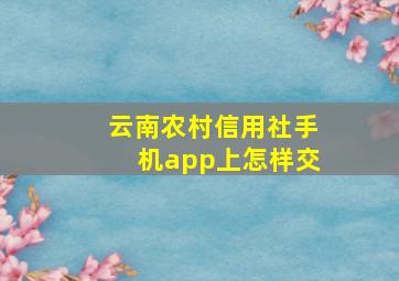 云南农村信用社手机app上怎样交